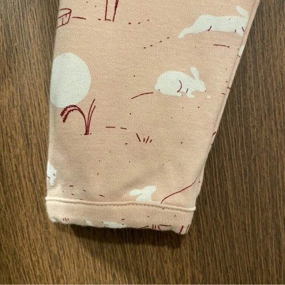 Red Caribou Girl’s ‘Moonlit Usagi(Hares)’ Peach Whip Dress Size 6/7 Years Easter - Picture 7 of 16